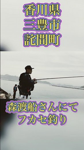 のっこみフカセでチヌ、鯛を釣りまくる！！