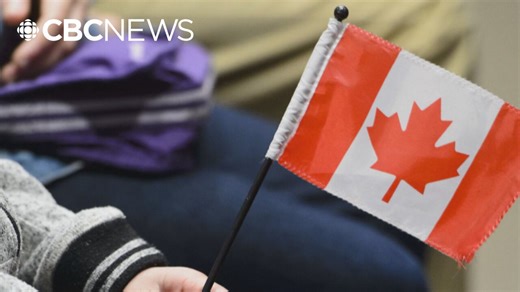 Suspicious academic credentials a pathway to Canada, Federal Court cases reveal