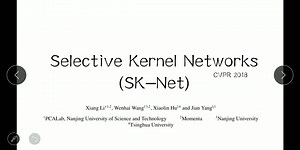 视觉注意力领域论文分享：Selective Kernel Networks(SK-Net)