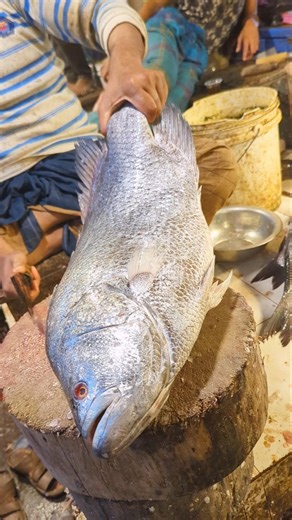&Tripletail Fish Cutting Mastery |Satisfying Reel#shorts