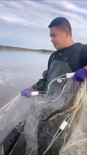 3.9K views · 33 reactions | Longnet fishing #fishing | Pandu Wilantara | Facebook