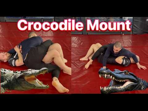 Crocodile Mount into Khabib Trap - Coach Zahabi