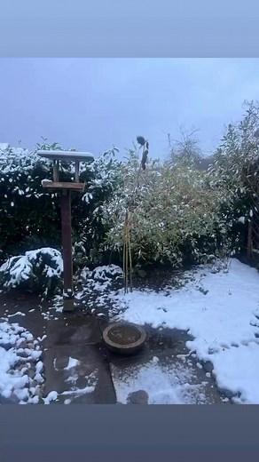 Line Bertelsen on Reels