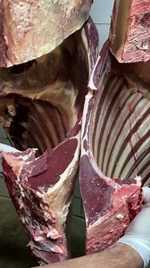 23K views · 1.2K reactions | Bison VS Elk! #reels #reelsinstagram #viral #butcher #butchering #video #elk #bison #meat #thebeardedbutchers #youtube | The Bearded Butchers | Facebook