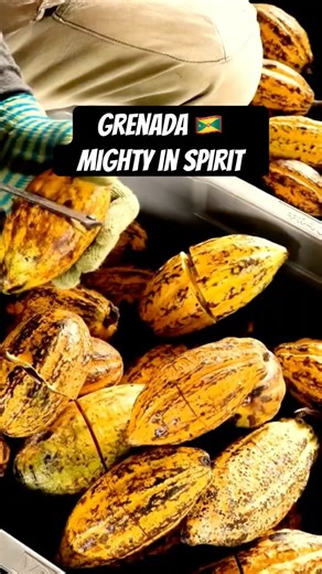 Grenada’s Destiny: Mighty in Spirit, Sovereign in Choice