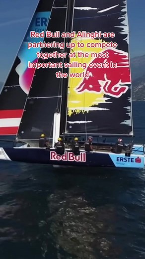 Alinghi Red Bull Racing: A Winning Team in Sailing