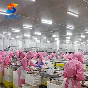 [Hot Item] 500bph-13000bph Killing Slaughterhouse Poultry Defeathering Machine Chicken Defeathering Machine Goose Defeathering Machine