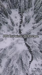 The stillness is life changing. Whitewater Ski Resort is soaring through the season, with downhill adventures paired with peaceful snowshoeing paths that carry you deep into the mountains and reinvigorate your sense of awe. | Nelson Kootenay Lake Tourism