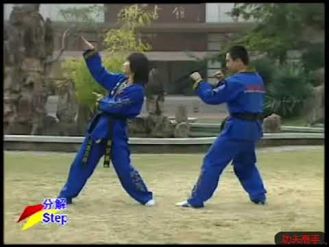 Snake Style Kung Fu Striking Techniques