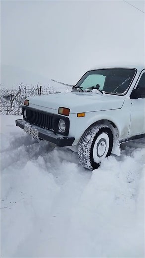 Niva 4x4 offroad videos 2026 #automobile #niva #offroad