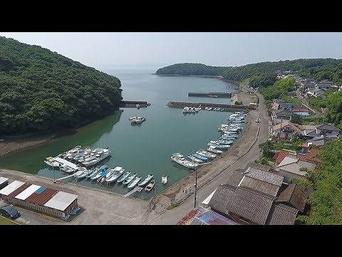 水俣湾のいまを動画で 知る水俣病