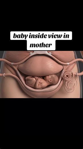 Understanding the Human Anatomy During Delivery