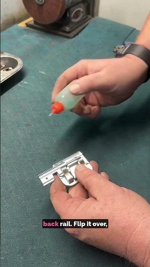 How to oil your clipper blade