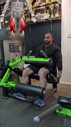 How to Build Quad Size & Separation | Leg Extensions Proper Form