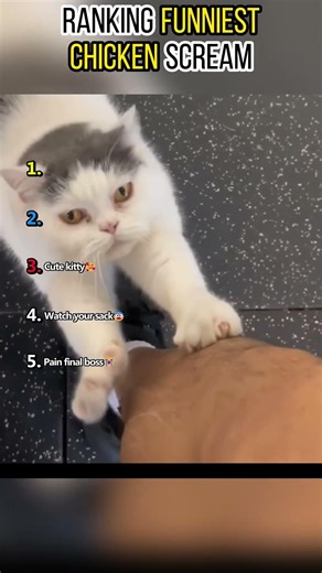 Ranking FunniestChicken Scream #top5 #funny