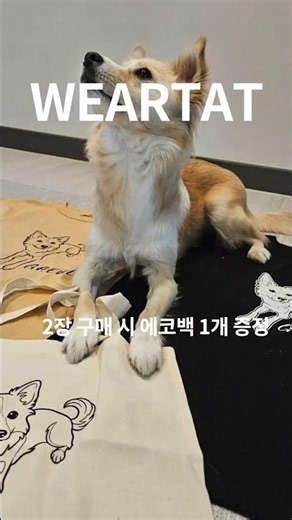 [웨어탯] 나만의 커스텀웨어 #나만의디자인 #fashion #프린팅티셔츠 #고양이 #고양이프린팅티셔츠 #나만의티셔츠 #반려묘 #고양이사진