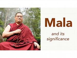 17K views · 802 reactions | Mala (Prayer beads) and its significance. | H.E. Tsem Tulku Rinpoche | Facebook