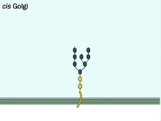Recombinant Proteins Definition | History, Methods & Applications