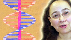 Video Explainer: The Math Inside the Shape of DNA