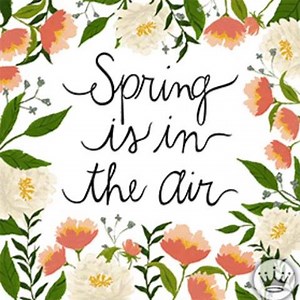 First day of spring! Even though there still can be cold days, we are enjoying the fact that it is still light outside when we go home What do you like most about spring?  | vidaXL | Facebook