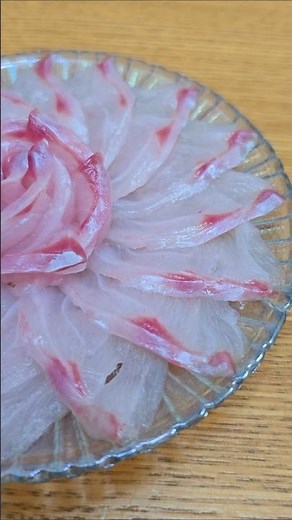 釣ったのどぐろを刺身にしたら美味すぎた #アカムツ #刺身 #魚の捌き方