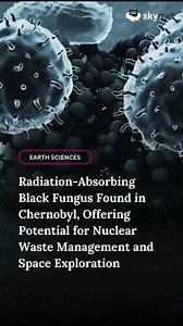 12 reactions | Cladosporium sphaerospermum, a unique black fungus was...