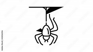 Spider icon animation outline best object on white background