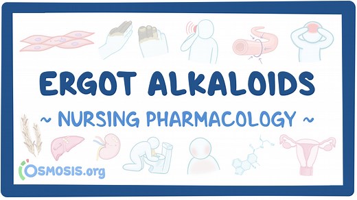 Ergot alkaloids: Nursing pharmacology: Video, Causes, & Meaning | Osmosis