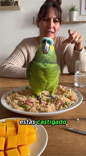 Parrot Refuses to Eat Dinner… Until Mom Gets Serious 😂🦜