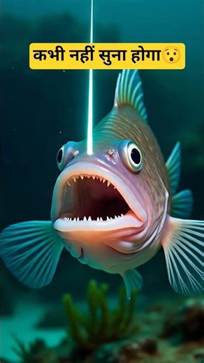 amazing shorts facts 😯 #shots #shortsfeed #shortsvideo