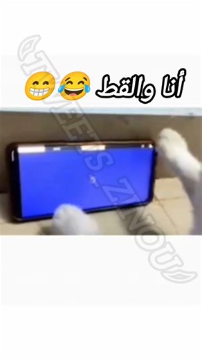 أمي جابتلي قط عشان اوقف فريفاير😁⏩ #tweetszinou#tiktok#tweets#youtubeshorts#shortvideo#freefire#fyp