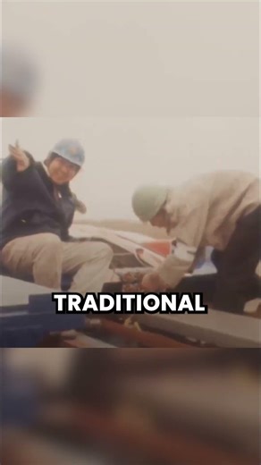 A Bird Solved a Problem Engineers Couldn’t