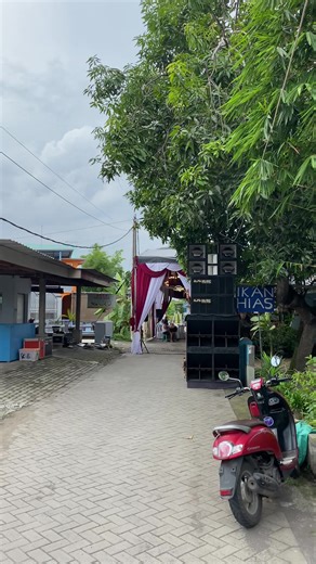 Sound Chek. Ngawali januari #alfamusicevolution #barokahjayadekorasi #soundsidoarjo #tendasidoarjo #systemilattanpobalung