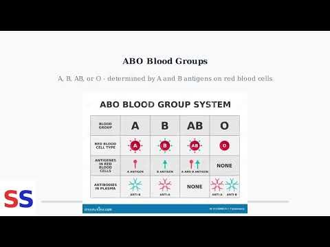 How To Find Your Blood Type In MyChart - Lab Results, Notes & Where To Check