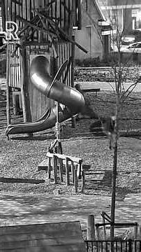 Groep steekt speeltuin in brand 🔥| #bureaurijnmond