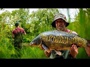 Old Carp. Historic Water. Incredible Session | Mark Pitchers - Chasing History