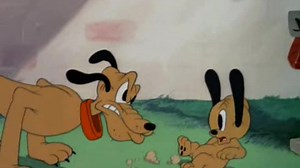 Pluto - Pluto Junior (1942)