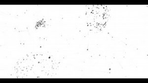 HEART SHAPED BOX Lyrics - LOVEDRUG | eLyrics.net