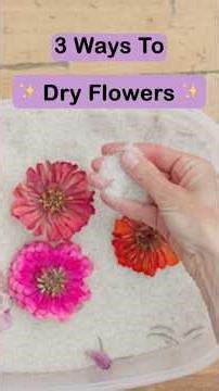 Let's dry some flowers 🌸✨ #artsandcrafts #dryingflowers #diy