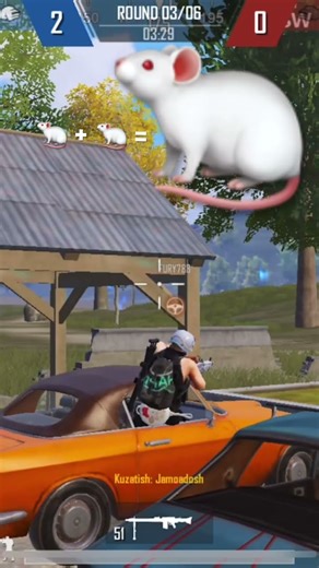 rat pro max 😂😂 so much rat is multiplying