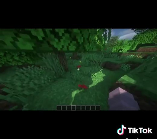 Cute Minecraft Mod - PatPat for Your Builds