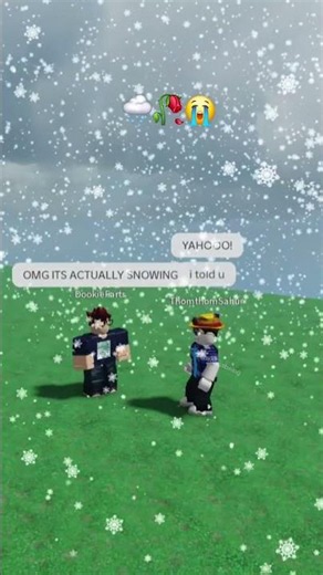 🌨🥀😭 #literal #roblox #fyp