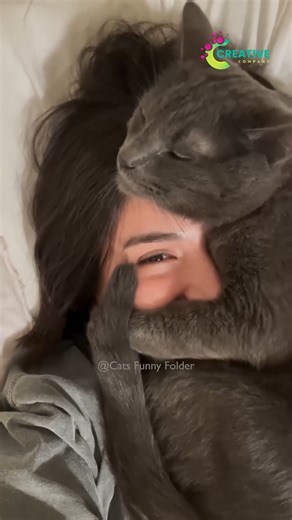 351K views · 7K reactions | She snuggles into my sweater. | Creative Company | Facebook