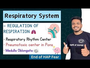 regulation of respiration | regulation of respiration physiology | regulation of respiration b pharm