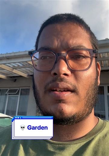 Garden Update: Unveiling the Mystery Plant