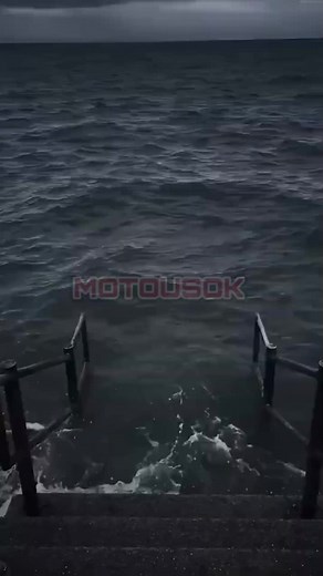 Ocean Memes Compilation: Discover the Best Backgrounds