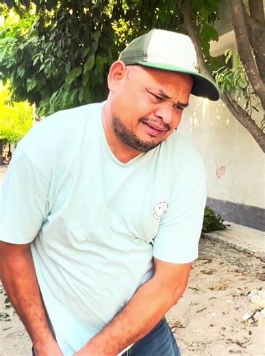 The magic tree 🌲 #shortvideo