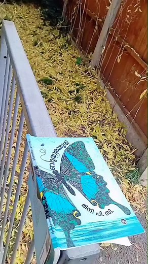 20 reactions · 13 comments |  | Mini Pc | Facebook