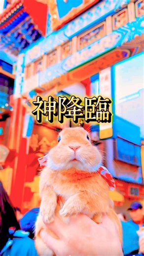 【衝撃】横浜中華街の入り口に「神」が降臨してたんだけど…😂 #shorts