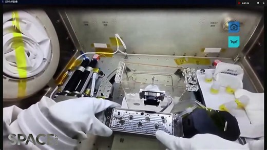 How plants are being grown in space by Shenzhou 14 astronauts: Knowledge